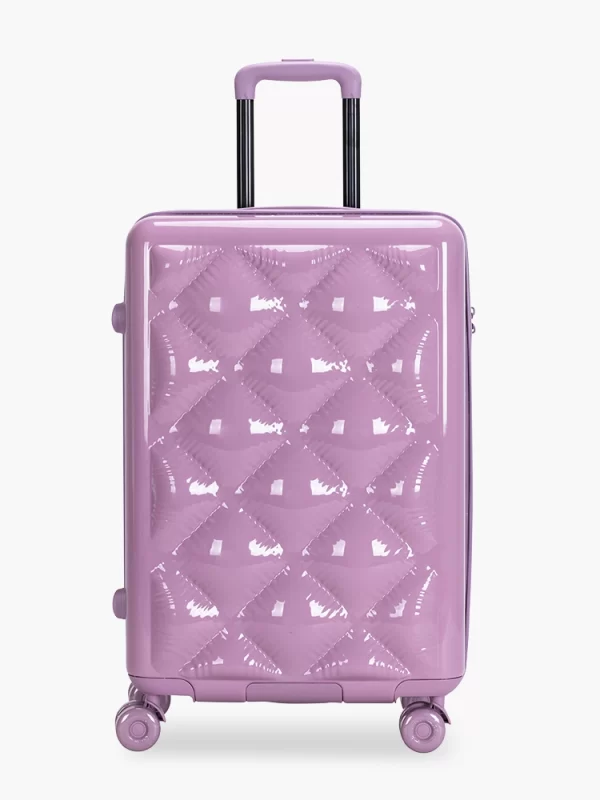 PC Luggage L25150