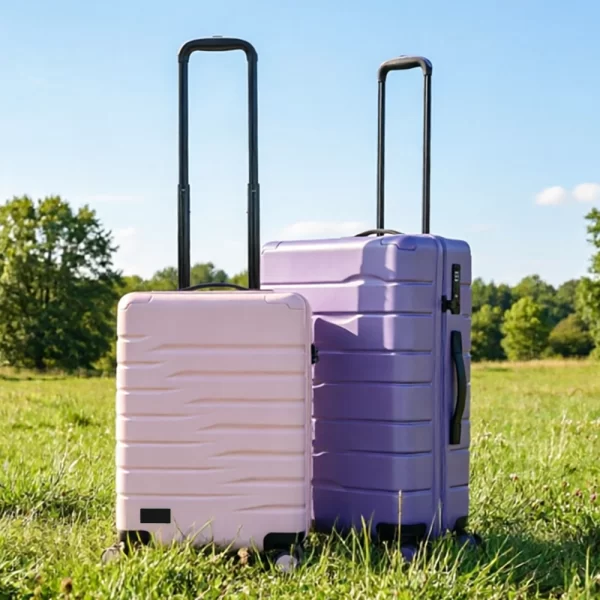 ABS Luggage L26001